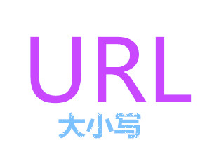 关于网站URL大小写规范问题。