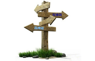 优化权重词与优化品牌词哪个更好？