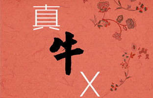 真牛X，这家南京网站制作公司竟然有接单原则