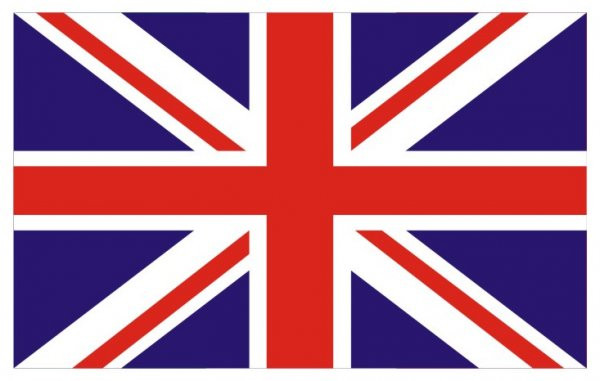 英文网站建设域名选择